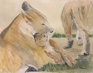 Lions from Tanzania